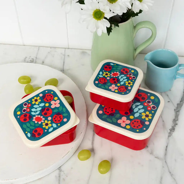 Ladybug Snack Boxes