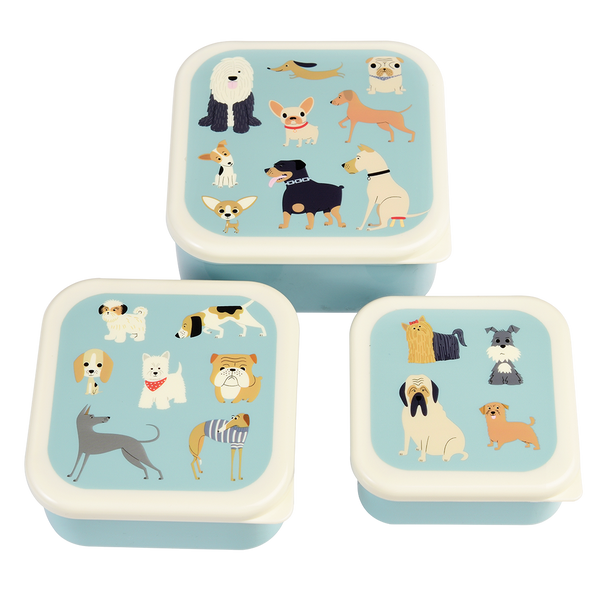 Best in Show Snack Boxes