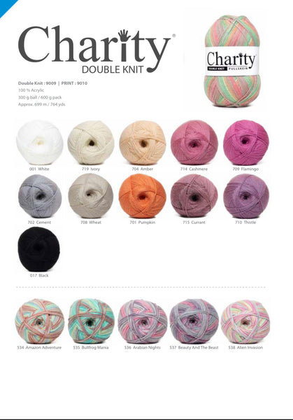 Elle Double Knit Charity 300g