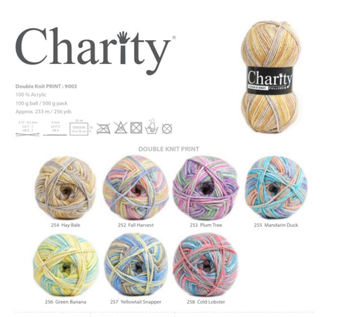 Elle Charity Double Knit Prints 100g