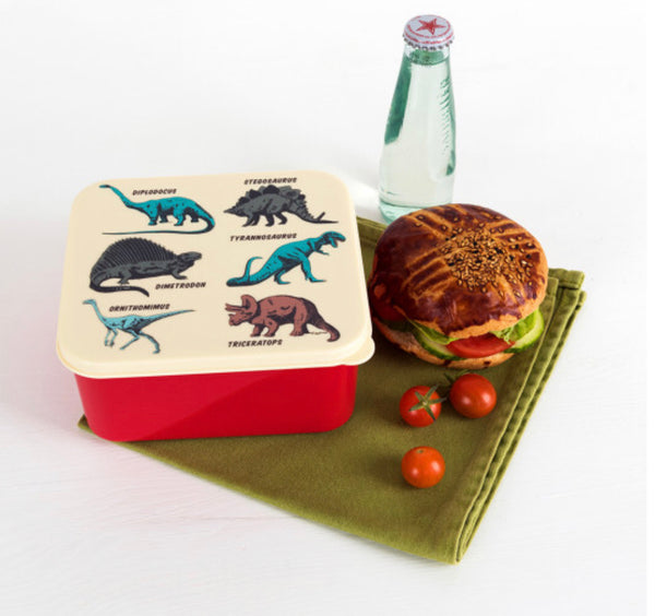 Prehistoric Land Lunch Box