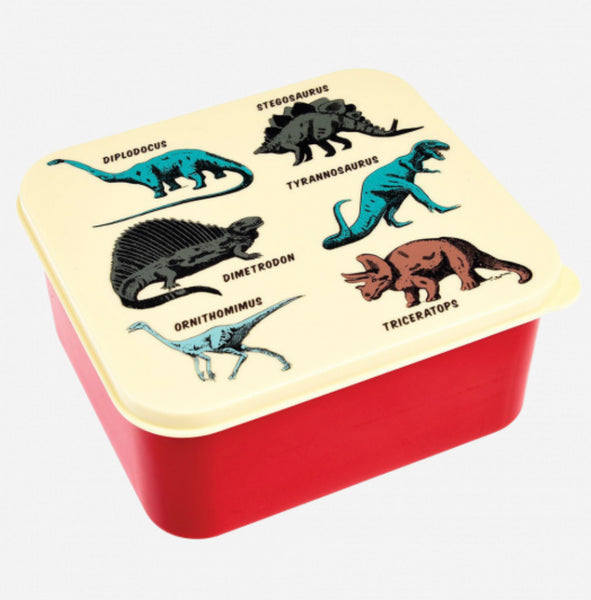 Prehistoric Land Lunch Box