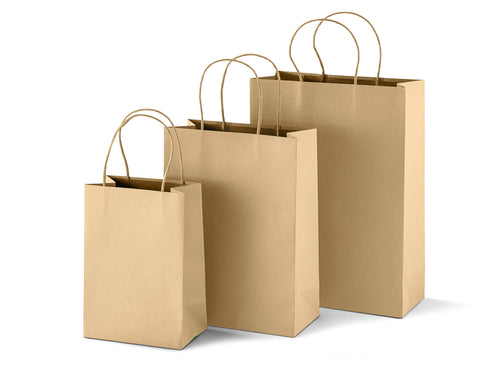 Paper Craft Bags