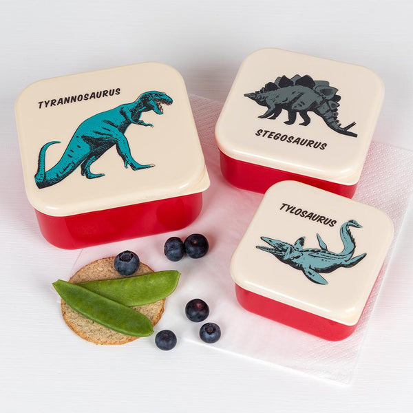 Set of 3 Prehistoric Snack Boxes